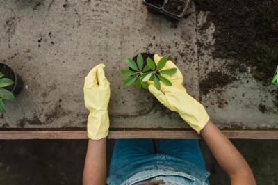 Come assumere un giardiniere per il tuo prato