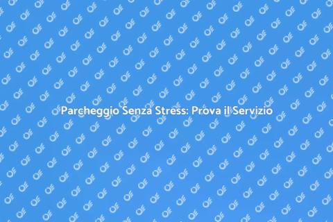 Servizio Parcheggiatore: Parcheggio Facile