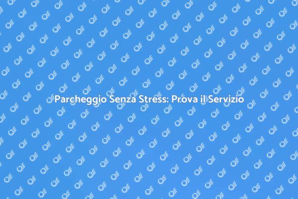 Scopri il Servizio di Parcheggiatore