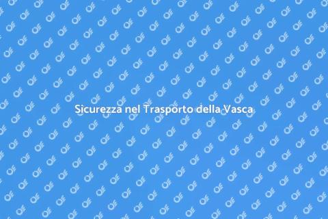 Trasporto Vasca: Guida al Trasloco