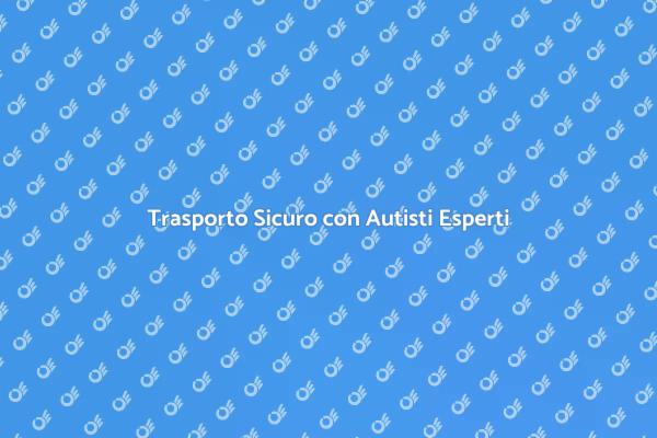 Trasporto con Autista: Sicurezza Garantita