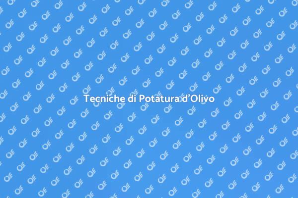 Potatura Olivo: Arte e Tecnica