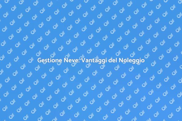 Vantaggi del Noleggio di Macchinari Neve