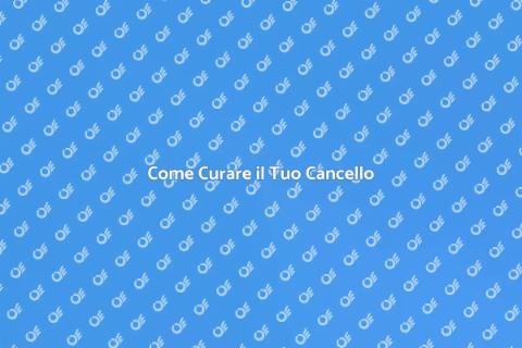 Manutenzione Cancello: Guida Completa