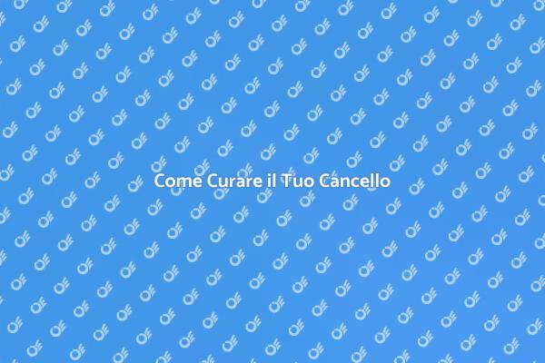 Manutenzione Efficace del Cancello