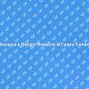 Rivestimento Canna Fumaria: Sicurezza e Stile