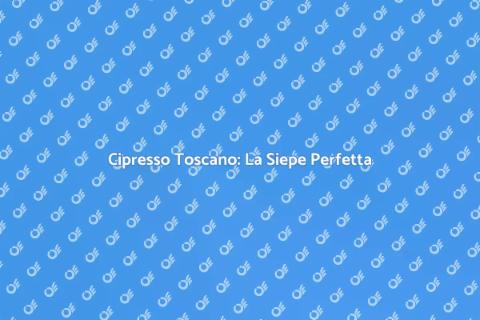 Siepe di Cipresso Toscano: Eleganza Verde