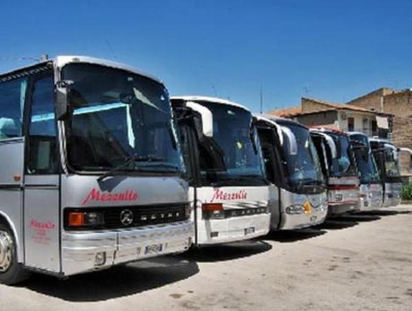 Mezzullo Autobus - Autolinee e Noleggio  - Foto 1