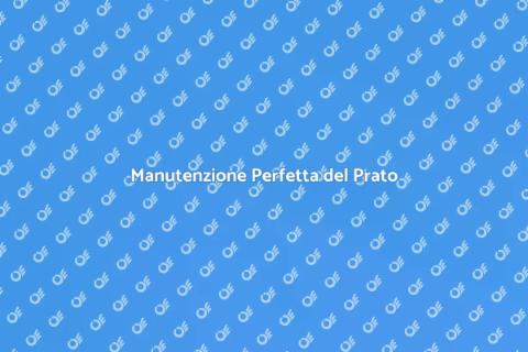 Curare il Tappeto Erboso Ideale