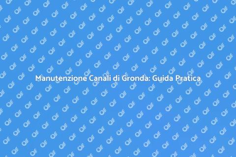 Controllo Canali di Gronda Essenziale