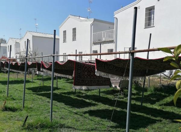 Sole tappeti orientali di Tari Verdizadeh Khosro - Foto 6