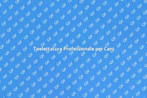 Toelettatura Cani: Cura del Pelo