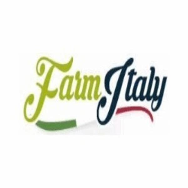Farm Italy  - Foto 1