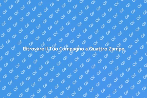 Trova il Tuo Animale Domestico Smarrito