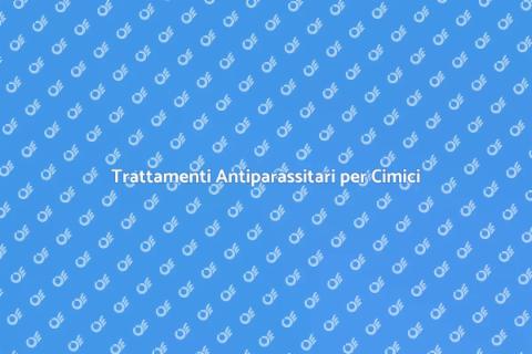 Eliminazione Cimici: Soluzioni Efficaci