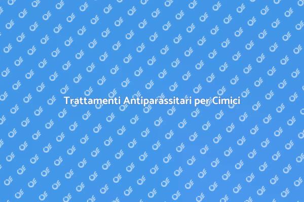 Liberati dai Cimici con Ernesto.it