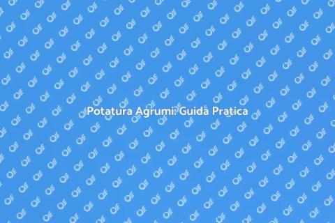 Potatura Agrumi: Consulenza Esperta