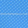 Email Marketing: Il Ruolo del Tasker