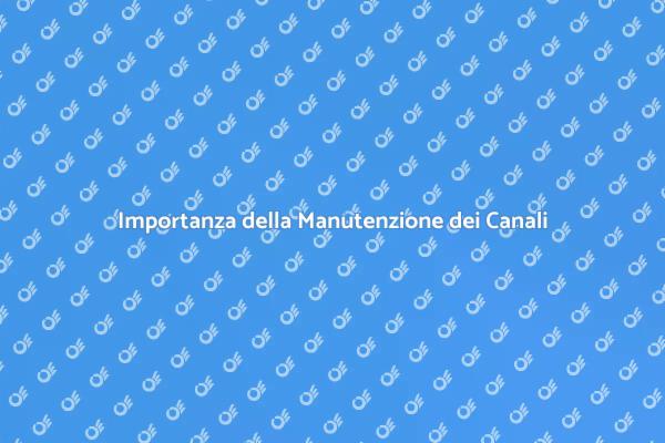 Manutenzione Efficace dei Canali di Gronda