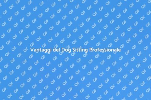 Dog Sitting Professionale per il Tuo Amico