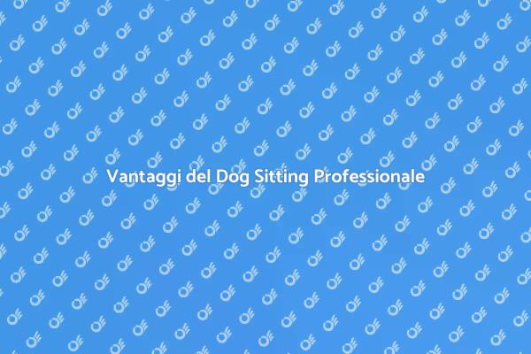 Dog Sitting: La Scelta Ideale per Cani