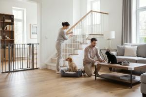 installare dispositivi di sicurezza per animali: Da €40
