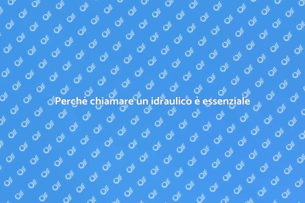 Scolo del water: chiama un idraulico
