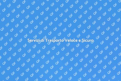 Trasporto Internazionale Veloce e Affidabile