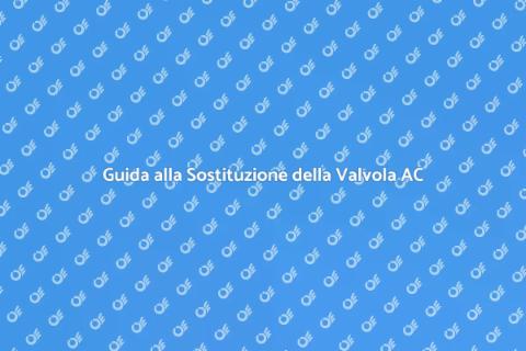 Sostituzione Valvola Espansione AC
