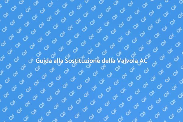 Sostituzione Valvola AC: Guida Pratica