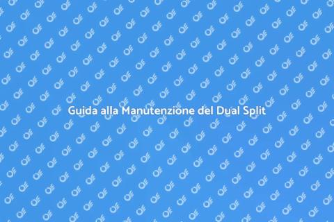 Manutenzione Condizionatore Dual Split