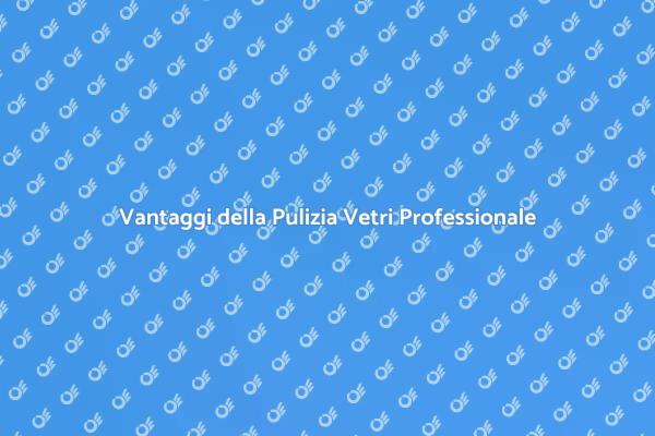 Perché Scegliere Pulizia Vetri Professionale