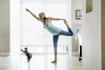 I gatti migliorano la tua vita, 10 motivi per averli