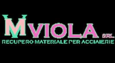 Viola  - Foto 1