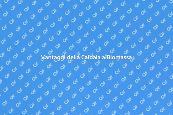 Riscopri il Comfort con Biomassa