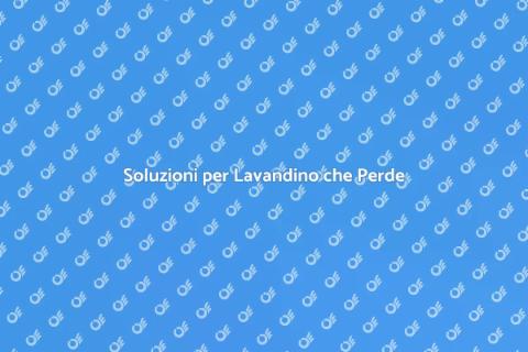 Riparazione Lavandino che Perde