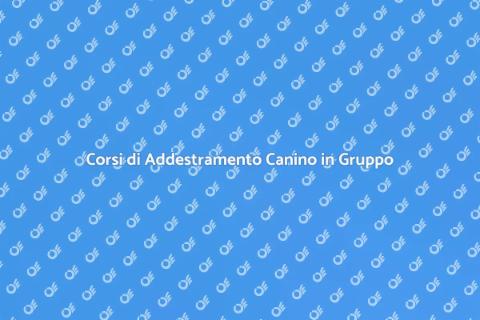 Addestramento Cani in Gruppo Efficace