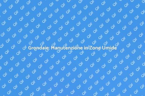 Manutenzione Grondaie in Zone Umide