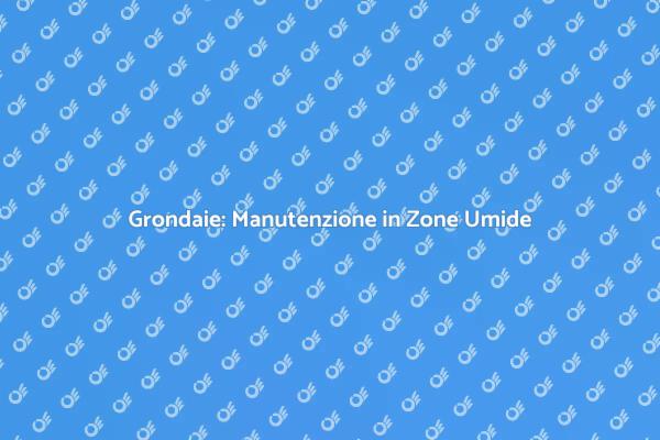 Grondaie in Alta Umidità: Come Manutenerle