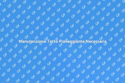 Pulizia Tetto Pianeggiante Essenziale