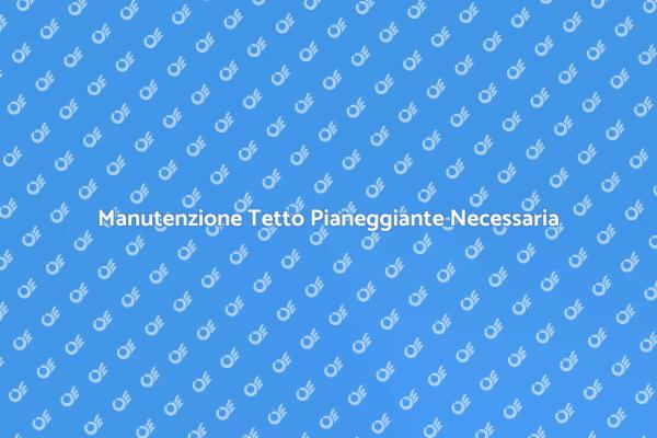Mantieni il Tuo Tetto Pianeggiante Pulito