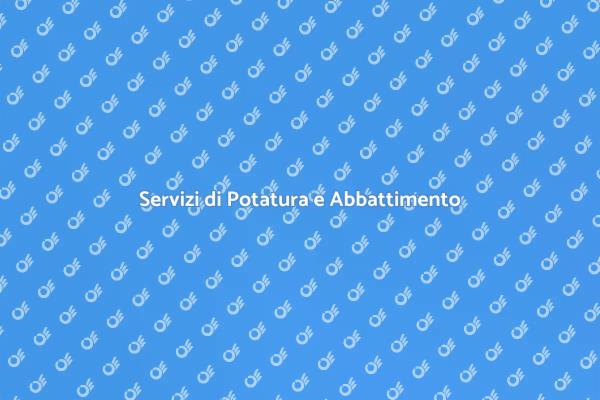 Gestione Professionale Alberi e Giardini