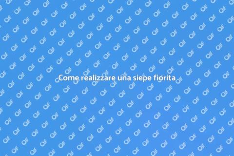 Creare una siepe fiorita in giardino