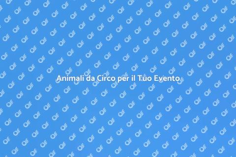 Affitto Animali da Circo per Eventi