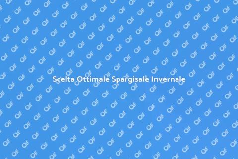 Miglior Spargisale per Inverno Sicuro