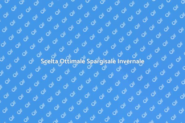 Come Scegliere il Giusto Spargisale