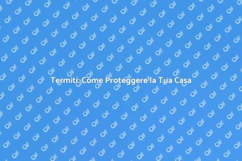 Controllo Danni Termiti: Prevenzione