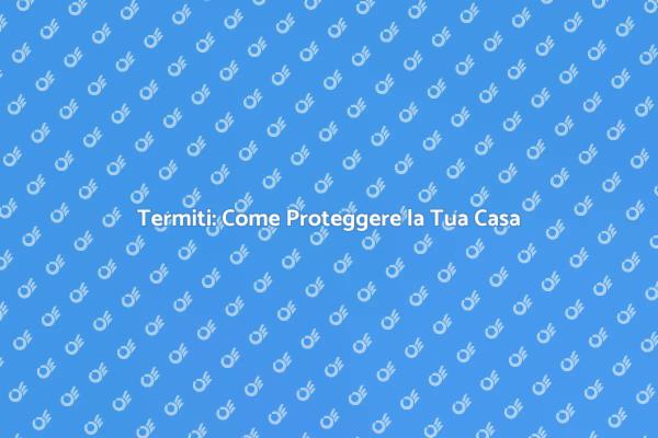 Termiti: Danni e Soluzioni Efficaci