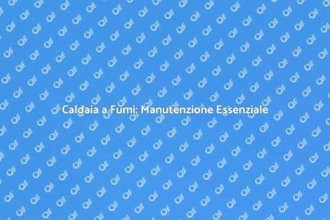 Manutenzione Annuale Caldaia Fumi