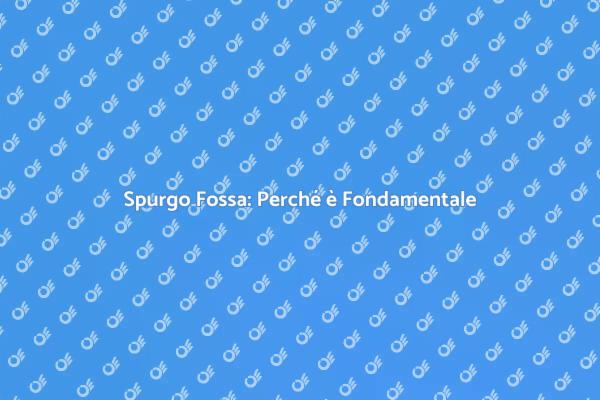 Manutenzione Fossa Biologica Necessaria